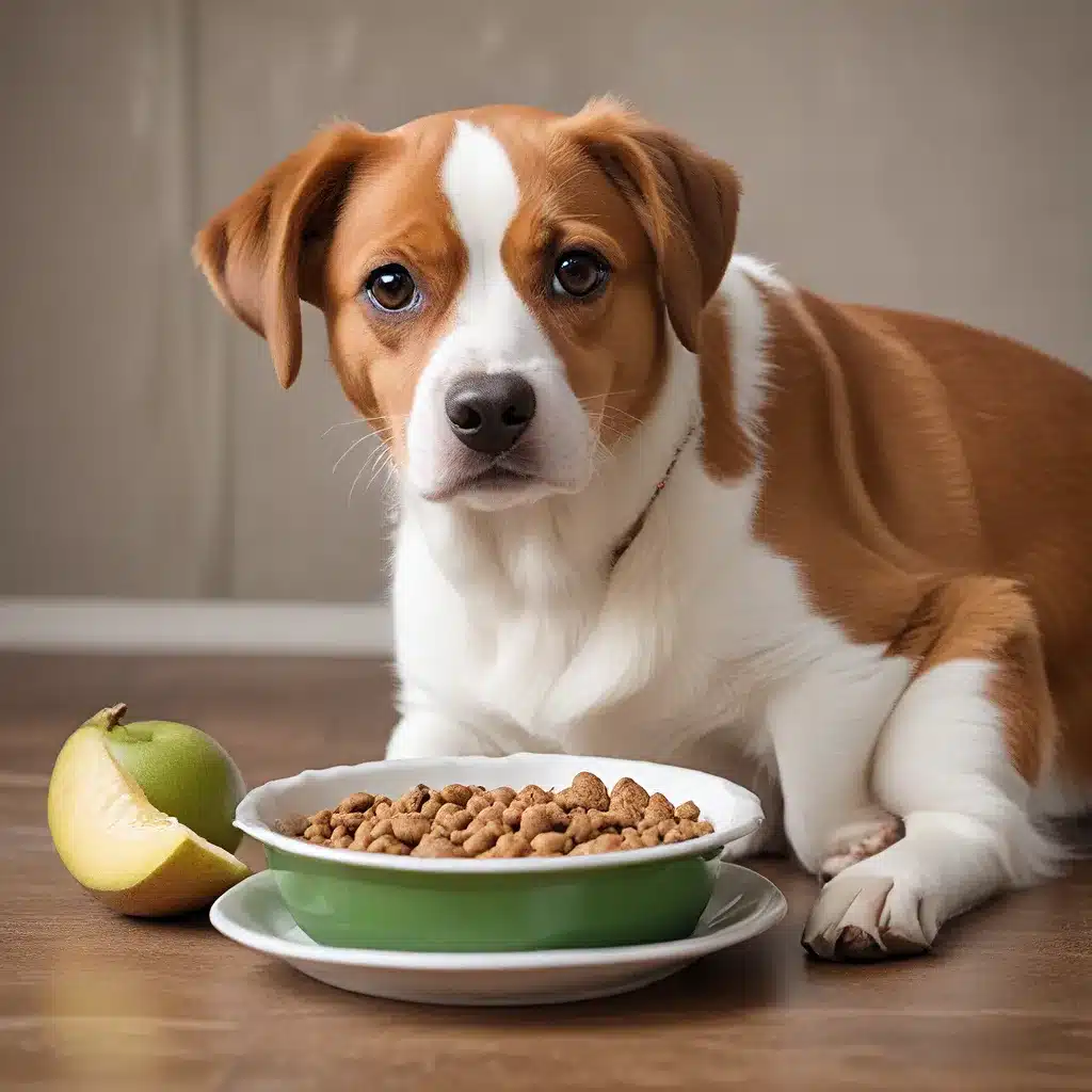 Nutrition Newbies: Tips for Feeding Rescue Pets a Balanced Diet